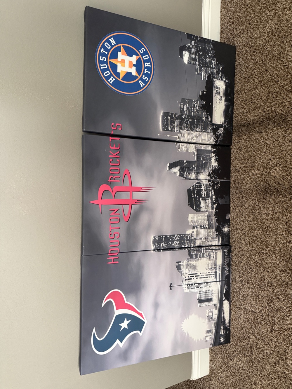 Houston Rockets, Houston Texans and Houston Astros Wall Art Canvas Set